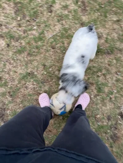 A small dog at Alex’s feet outdoors.