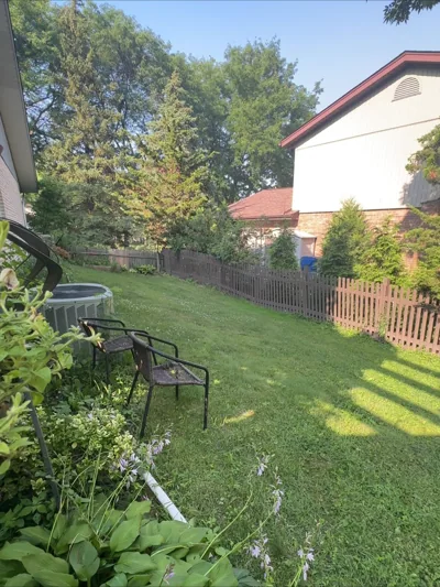 A green backyard under clear daylight.
