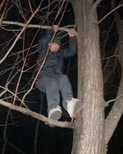 Alex sitting among branches in a tree after dark.