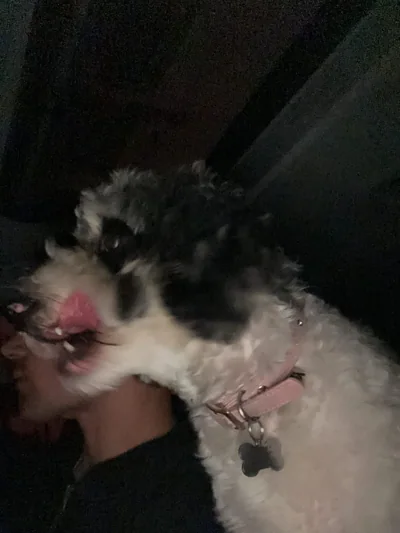 A close moment with a dog in low light.