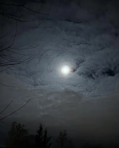 The moon seen through dark branches and clouds.
