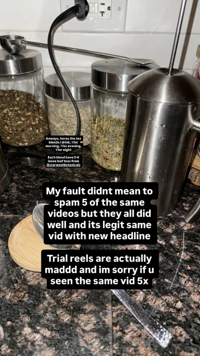 Herb jars and a press on a kitchen counter.